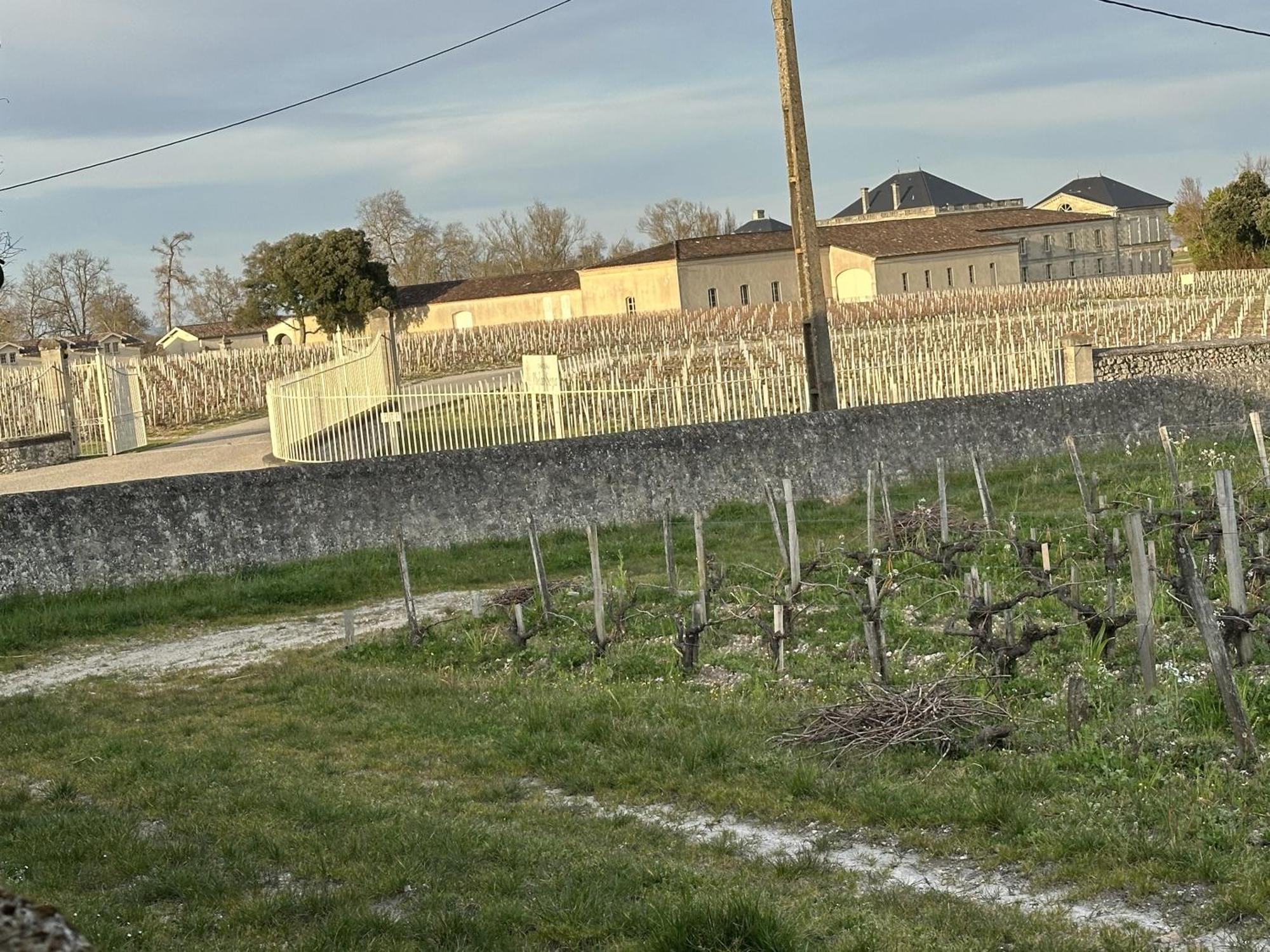 Maison Jeroboam Saint-Estèphe Buitenkant foto